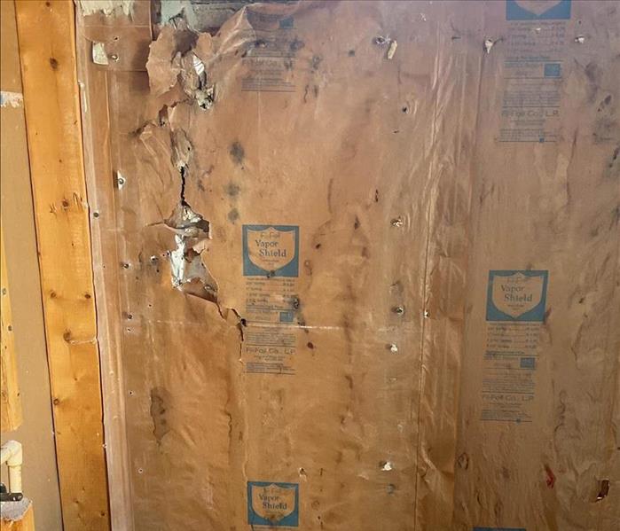 Damaged insulation behind wall. 