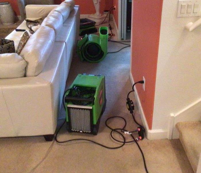 green equipment set up on carpet in living room 