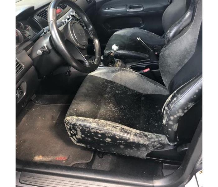 mold in the interior of a vehicle