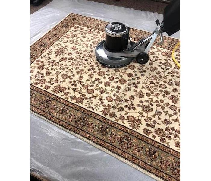 area rug being professionally cleaned